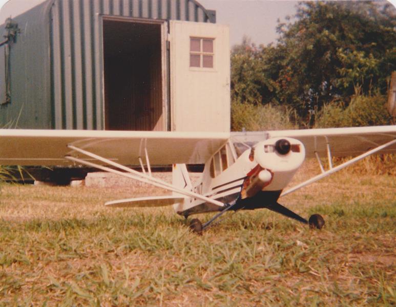 Hegi Piper 1984a 773